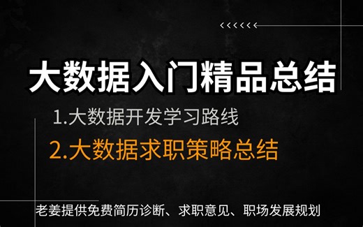 大数据开发求职策略2024全新总结