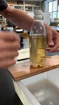 Observing Atmospheric Pressure with a Water Column (The Mystery of Water Pressure Revisited) (Iid...