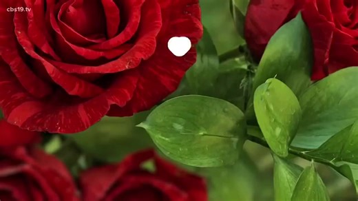 Nice lil Valentines Day throwback from KYTX CBS19 out of Tyler, Tx that aired back in 2018. #foryoupage #POPWATCH #popwatchtexas #longviewtexas #jasonroy