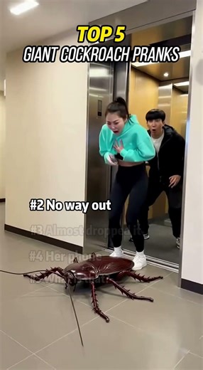 Top 5 Giant Cockroach Pranks 😳 #shorts