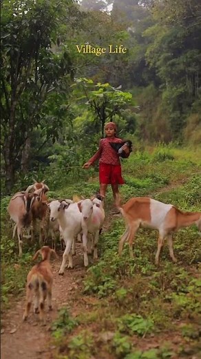 Village Life -- Nature Lover #life #explore #travel #photography