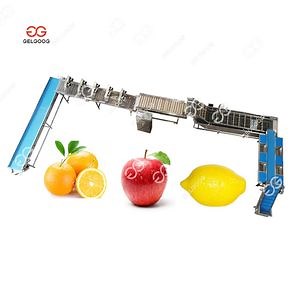 [Hot Item] Gelgoog High Efficencity Strawberry Blueberry Washing Fruit and Vegetable Cleaning Machine