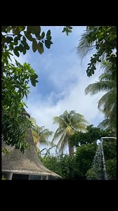 Vicente J Cortez on Reels