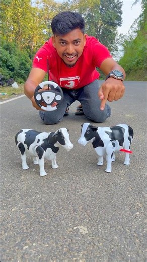 Twin Remote Control Cow unboxing 😱