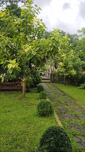 November 19-2025 site visit w/my client @ Brgy San Lorenzo,San Pablo City Laguna Property FULL DETAILS 👇 ✔️ My Cp# 09287492752 Viber ✔️ Farm Lot w/House for sale ✔️ Gated with fenced ✔️ Fully Developed FarmHouse ✔️ Garden Farm House Resort ✔️ Flood free & cold weather ✔️ Along Brgy cemented road ✔️ 25 Meters more or less frontage ✔️ Square ang shape nitong lupa ✔️ Clean Title ✔️ Lot size 5,000sqm ✔️ Asking ₱25M negotiable ✔️ May 2nd floor ang bahay ✔️ 2 bedroom sa taas ✔️ 3 Cr itong bahay ✔️ 3 