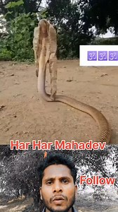 Deepak Kumar on Reels