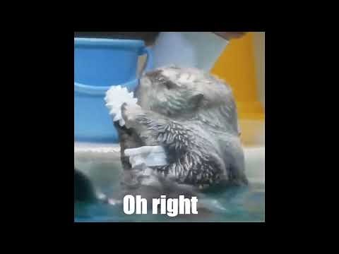 Inspector Otter - Ep. 1