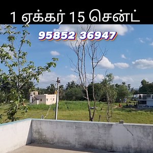 795K views · 11K reactions | #soldout அழகிய வீட்டுடன் கூடிய 1 ஏக்கர் 15 சென்ட் விவசாய நிலம் விற்பனைக்கு. #AgriculturalLand #LandForSale #SalemDistrict #Attur #Koththampady #FarmLife #RealEstate #HomeForSale #Borewell #PeacefulLiving #InvestmentOpportunity #reelsviralシ #reelsviralfb #farmlandforsale #land | Blue Real Estate | Facebook