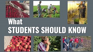 📽️ Discover Fruit and Vegetable Management at WSU