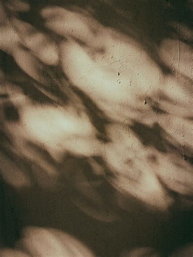 Retrato y Fotografía Documental on Instagram: "Ya no corro, ni respondo a roles, tomo clases de creatividad a las 2 de la madrugada, tengo el teléfono repleto de fotos al cielo, videos de hojas moviéndose sobre calle 9 camino a casa, mis zapatillas viejas al lado de flores, o naranjas en una verdulería al paso. Postales japonesas en la tele una tarde de lluvia, un cuaderno para cada idea, un anotador en la mesa de luz lleno de palabras sueltas. Auriculares de cable, lucecitas baratas de un chino