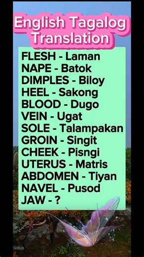 English Tagalog Translation ✅🥰#knowledge #englishlesson #vocabulary #englishlesson #English #learning #learnenglish #tagalog #translation | Learning English Tagalog