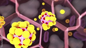 field of fat cells, High quality 3d render of fat cells, cholesterol in a cells, structure of the molecule, receptors on the cells surface, organelle and leukocyte, hormones and human cells Stock Video