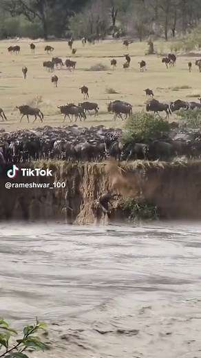 Rameshwar chalise على TikTok