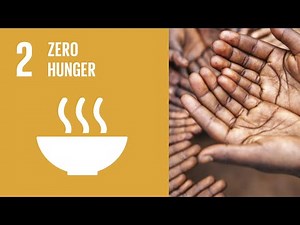 UN Sustainable Development Goals | Zero Hunger (2)