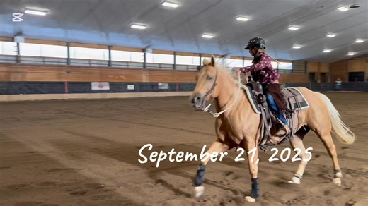 Paisley did amazing in Quebec at the NERCHA Fall Into Cowhorse Show in the Youth Boxing Class!! Enjoy watching this girl work a cow! | Sherry Simoes