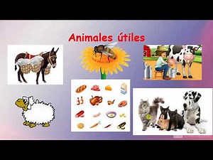 LOS ANIMALES ÚTILES PARA EL SER HUMANO
