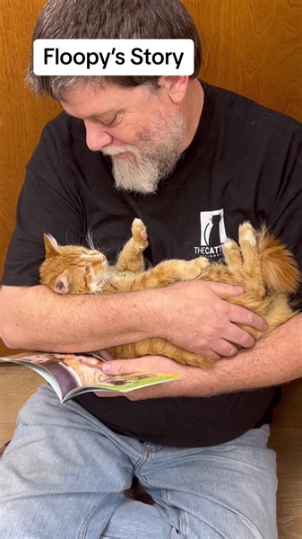 22K views · 1.3K reactions | Floopy’s story. You’ll be seeing lots more of her! #neurologicaldisorder #orangecats #floopy #chcat #thecatterycc | The Cattery Cat Shelter | Facebook