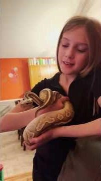 Watch This Little Girl Fall in Love With Her Ball Python | The Dodo