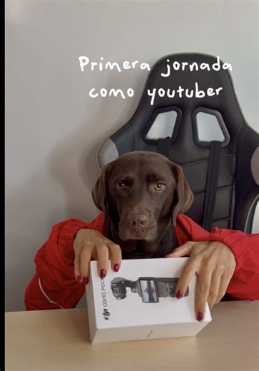 Unboxing Osmo Pocket 4 combo creador: ¿vale la pena?
