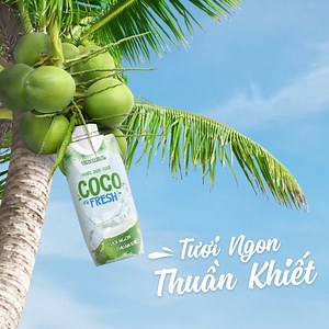 COCO FRESH TƯƠI NGON THUẦN KHIẾT​ ÍT CALO NHIỀU LỢI ÍCH ​ 💧Được chọn lọc từ những trái dừa tươi nguyên chất từ Bến Tre, Coco Fresh là thức uống giải khát lý tưởng cho mọi nhà với nhiều lợi ích cho sức khỏe.​ ​Cùng Vinamilk khám phá ngay những thông tin tuyệt vời của Nước dừa tươi Coco Fresh mát lành tự nhiên, đảm bảo nghe xong là chỉ muốn uống mỗi ngày: ​ ⭐ Ít calo với chỉ 14 kcal trong mỗi 100 ml nước dừa tươi Coco Fresh​ ⭐ Giúp bù nước và bổ sung điện giải tự nhiên​ ⭐ Chứa nhiều chất chống ox
