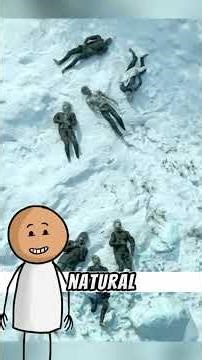 facts climbing everest usa mindblown #Shorts #motivationmedia231