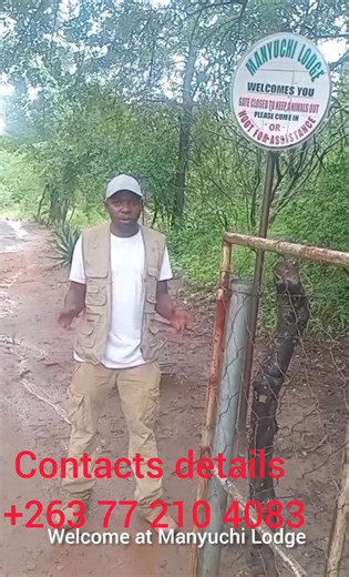 Visit Manyuchi lodge and Dam this holidays and enjoy yourself with your family #fblifestyle 263 77 210 4083 and book now . | Clive Sibanda