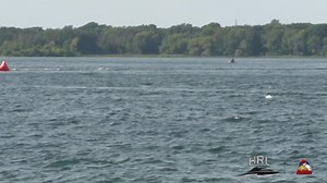 Finale Jersey Speed Skiff présentée par Reliable Diamond Tools. Jersey Speed Skiff Final presented by Reliable Diamond Tools. | Hydroplane Racing League