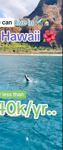 You can get paid to move to Hawaii (& here’s how)