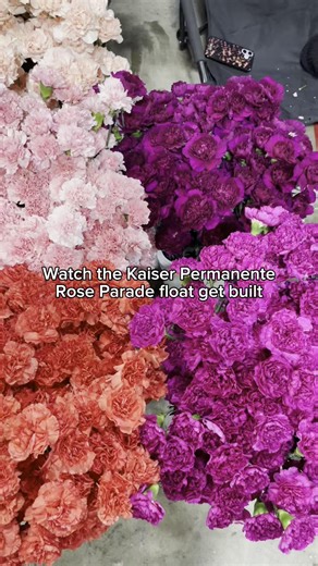 Kaiser Permanente on Instagram: "As we begin the final countdown to the 2026 @rose_parade, we’re celebrating the incredible volunteers bringing our float to life. Just as Kaiser Permanente care teams work together to support members on their health journeys, our volunteers and decorators are showcasing The Magic in Teamwork, proving that collaboration and compassion create something truly special. #RoseParade #TournamentOfRoses"