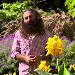 13 reactions | Get more from your garden all year round with a subscription to ABC Gardening Australia and Organic Gardener magazines -- visit abcmagazines.com.au to subscribe today! | ABC Organic Gardener | Facebook