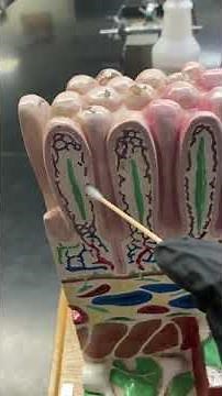 Small Intestine Model