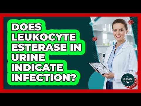 Does Leukocyte Esterase In Urine Indicate Infection?