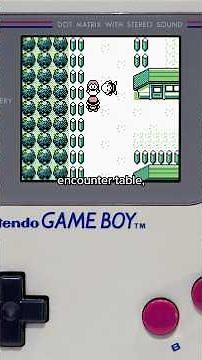 POKEMON GAMES THAT NO ONE KNEW THEY COULD PLAY