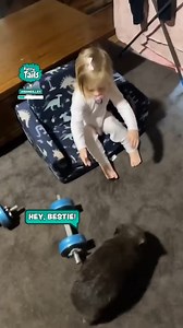 What a pair of cuties 🥰 | Furry Tails