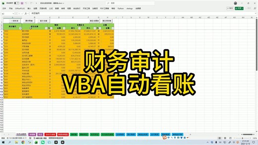 财务审计VBA自动看账