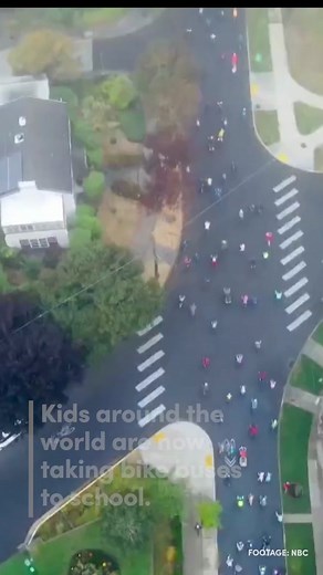 Kids around the world are taking bike buses to school instead of driving. #biking #ecofriendly #sustainability #sustainableliving #climateaction #goodnews #climatechange