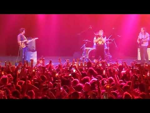 Surf Curse DISCO Live