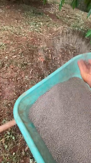 Vào lân thôi | Nguyen Tuan Phuong