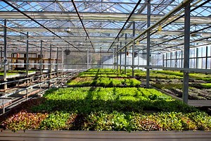 Organic Farm Raises the Bar on Responsible Practices  With Efficiency Upgrades