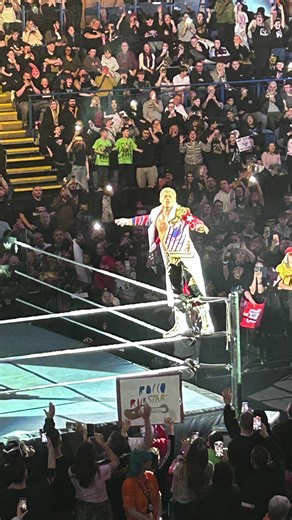 Exciting WWE Live Event Highlights and Moments