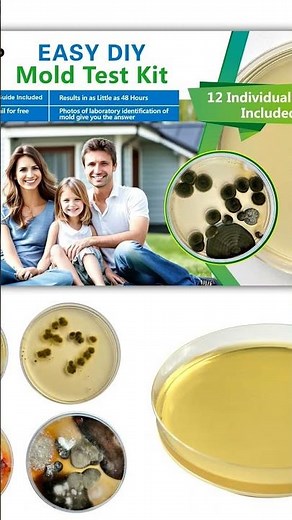 Mold Test Kit for Home 👉https://amzn.to/3HMoRX4 @Black_backk