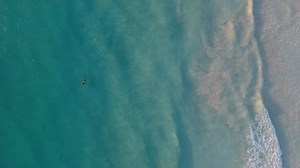 Woman Swimming in Ocean.mp4