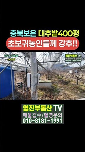 (751번)1억 보은하우스대추밭400평 1억 중형관정 관수시설 초보귀농인강추 #보은부동산 #충북보은대추밭 #shorts