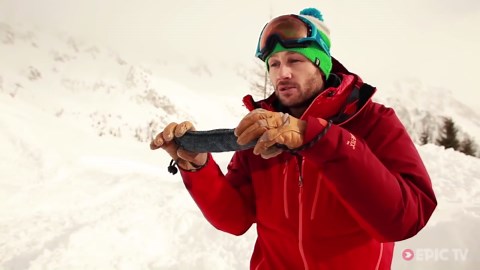 Avalanche Rescue Dogs