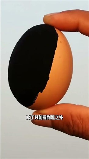 What Happens When You Shine the World's Brightest Light on the World's Blackest Black? #Science #...