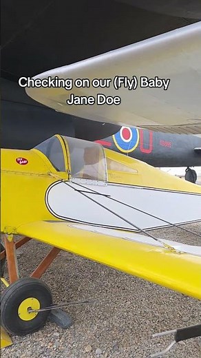 (Fly) Baby Jane Doe
