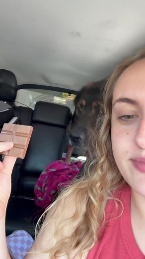 Delicious Dog Treats for Your Beloved Pet