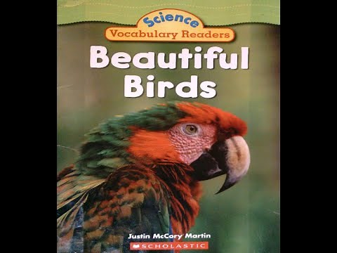 Beautiful Birds Read Aloud