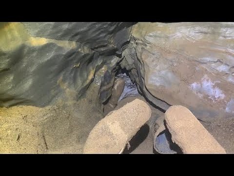 We Didn’t All Make It!!!