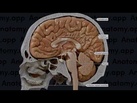 The best way to ace your exams! 🚀